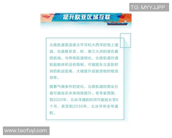 评论揭示热议真相 观众口碑透析新作背后深层次价值